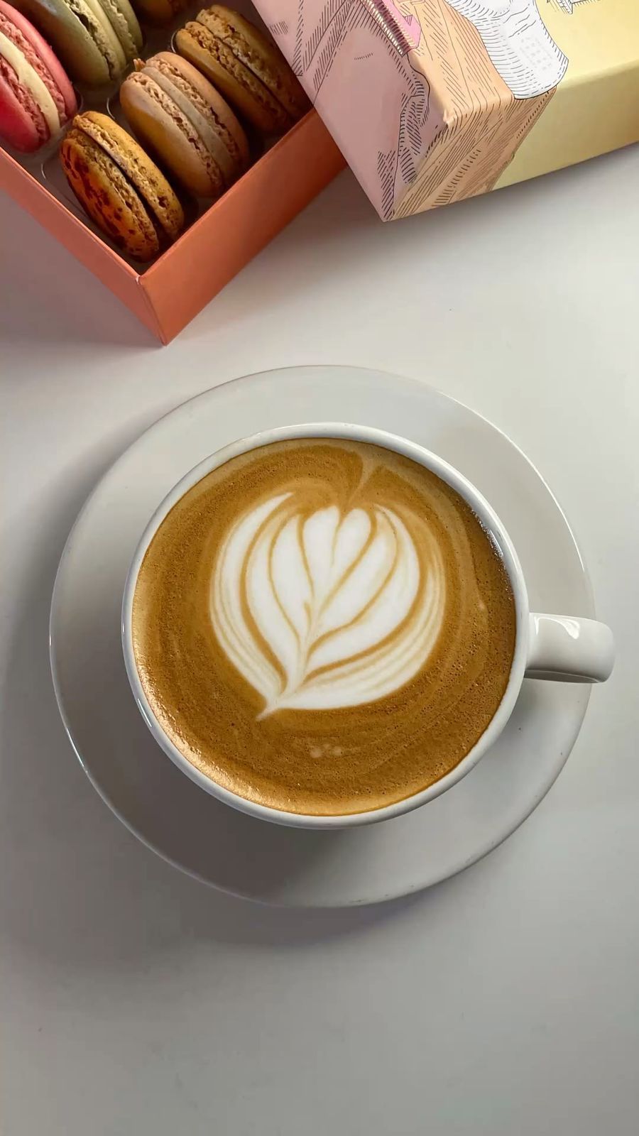 فلات وايت